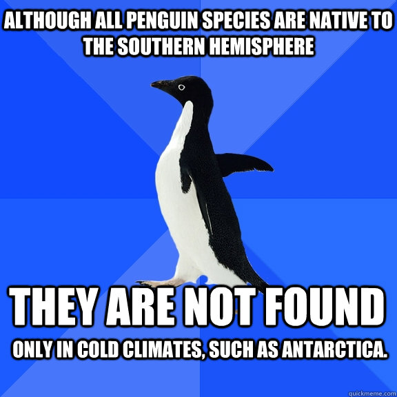 although all penguin species are native to the southern hemi - Socially Awkward Penguin