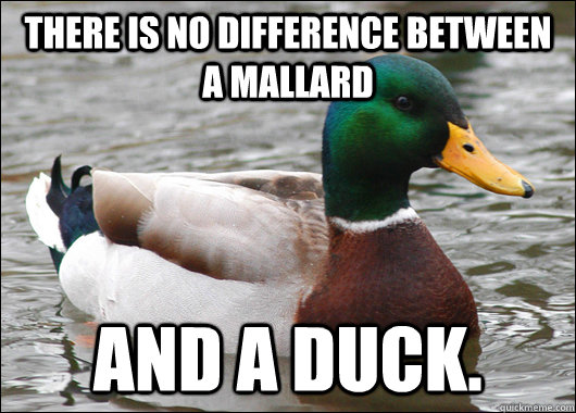 there is no difference between a mallard and a duck - Actual Advice Mallard