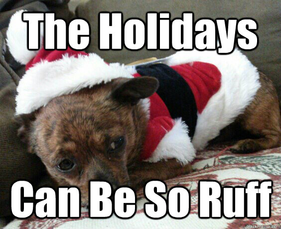the holidays can be so ruff -