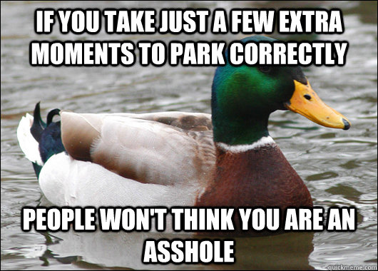 if you take just a few extra moments to park correctly peop - Actual Advice Mallard