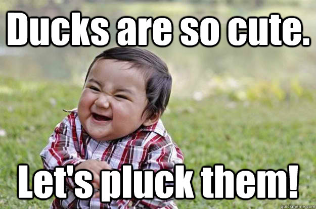 ducks are so cute lets pluck them - Evil Toddler