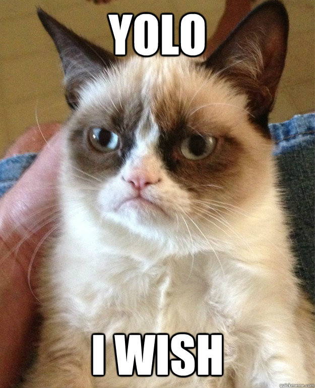 yolo i wish - Grumpy Cat