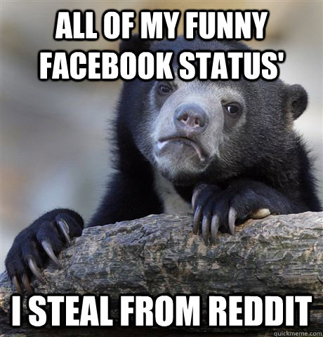 all of my funny facebook status i steal from reddit - Confession Bear