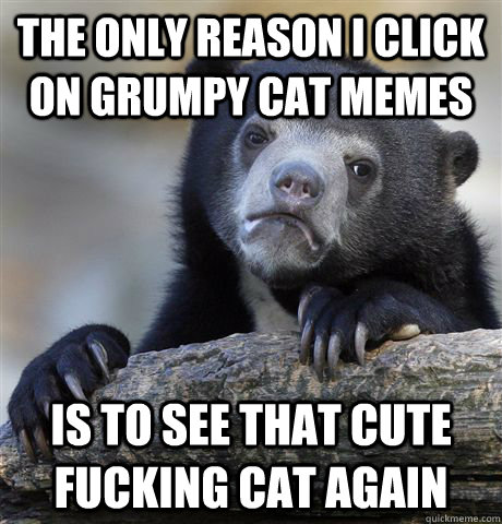 the only reason i click on grumpy cat memes is to see that c - Confession Bear