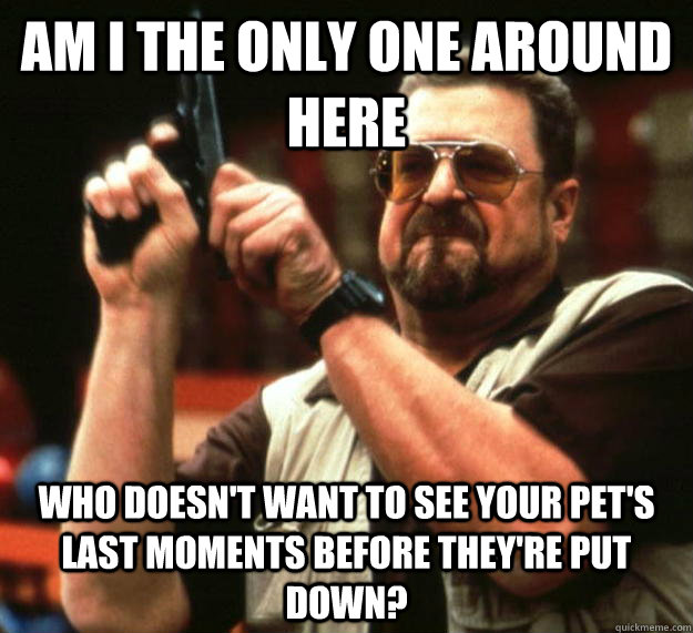 am i the only one around here who doesnt want to see your p - Angry Walter