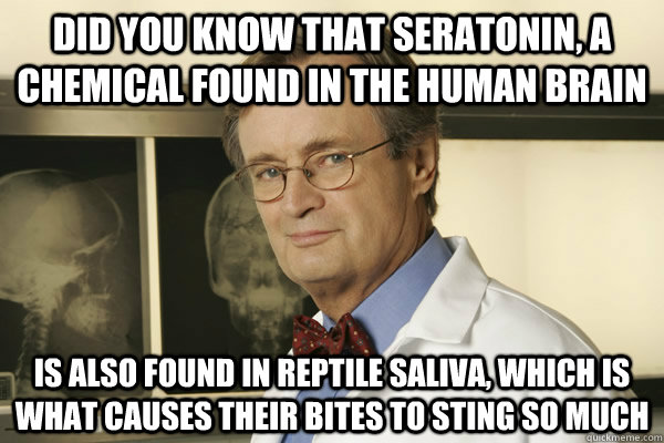 did you know that seratonin a chemical found in the human b - Fun Fact Advice Mallard