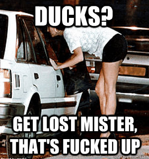 ducks get lost mister thats fucked up - Karma Whore