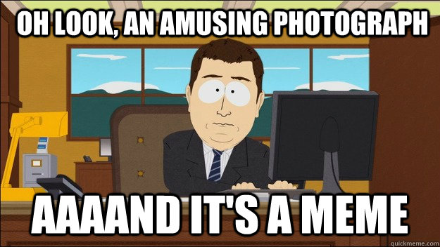 oh look an amusing photograph aaaand its a meme - aaaand its gone