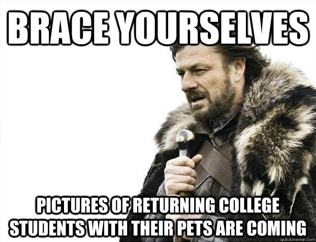 brace yourselves pictures of returning college students with - Brace yourselves