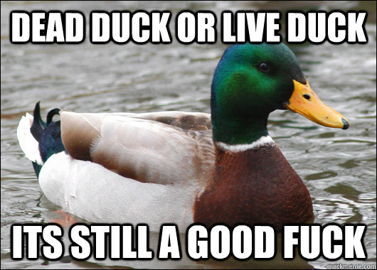 dead duck or live duck its still a good fuck - Actual Advice Mallard