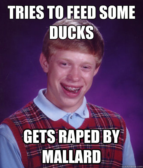 tries to feed some ducks gets raped by mallard - Bad Luck Brian