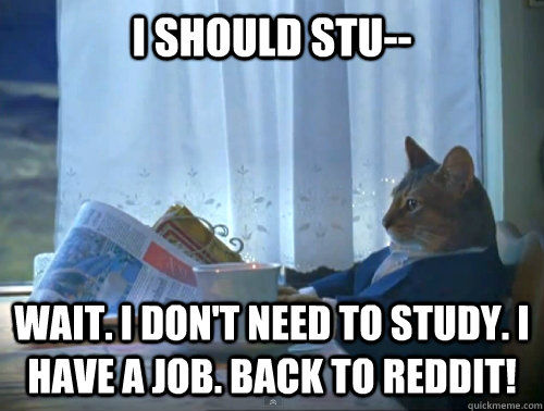 i should stu wait i dont need to study i have a job ba - The One Percent Cat