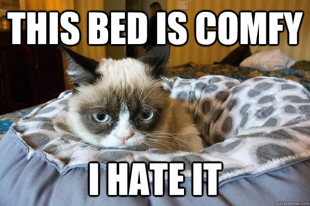 this bed is comfy i hate it -