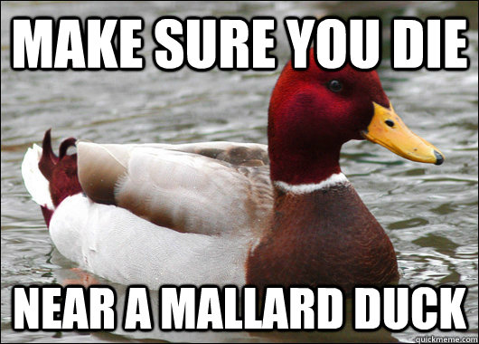 make sure you die near a mallard duck - Malicious Advice Mallard