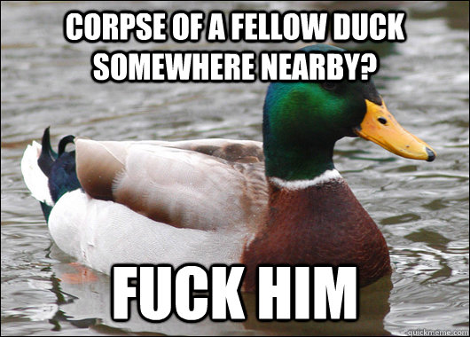 corpse of a fellow duck somewhere nearby fuck him - Actual Advice Mallard