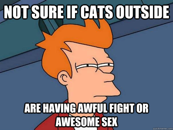 not sure if cats outside are having awful fight or awesome s - Futurama Fry
