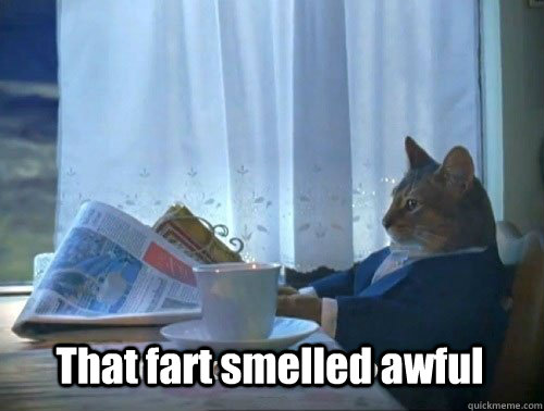 that fart smelled awful - Fancy Cat