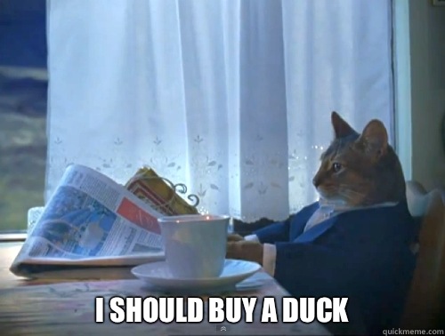 I should buy a duck - The One Percent Cat