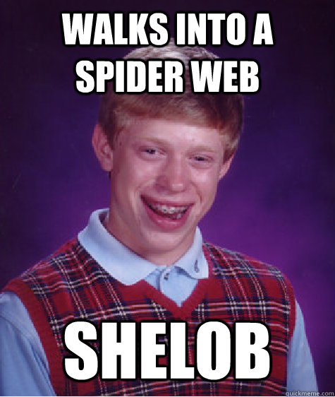 walks into a spider web shelob - BAD LUCK BRIAN
