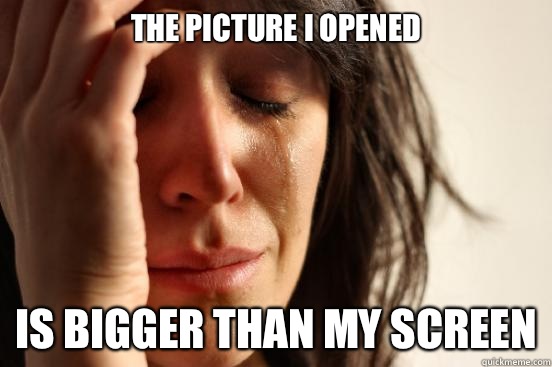 The picture I opened Is bigger than my screen - First World Problems