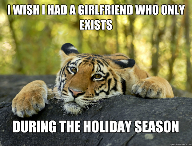 i wish i had a girlfriend who only exists during the holida - Confession Tiger