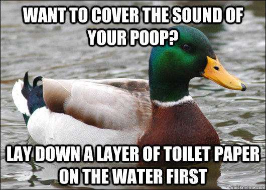 want to cover the sound of your poop lay down a layer of to - Actual Advice Mallard