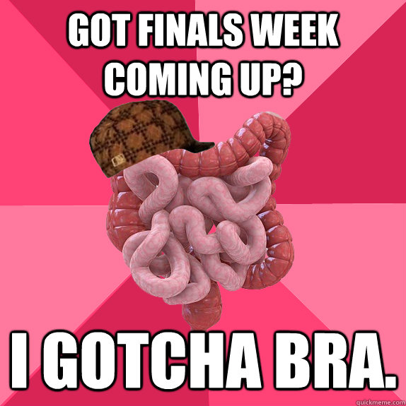 got finals week coming up i gotcha bra - Scumbag Intestines