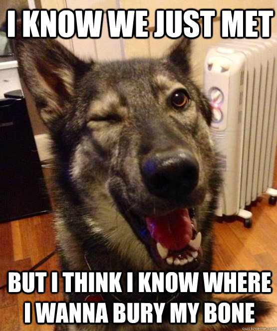 i know we just met but i think i know where i wanna bury my - Pickup Pup