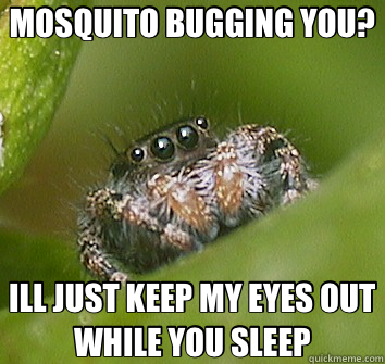 MOSQUITO BUGGING YOU? ILL JUST KEEP MY EYES OUT WHILE YOU SL - Misunderstood Spider