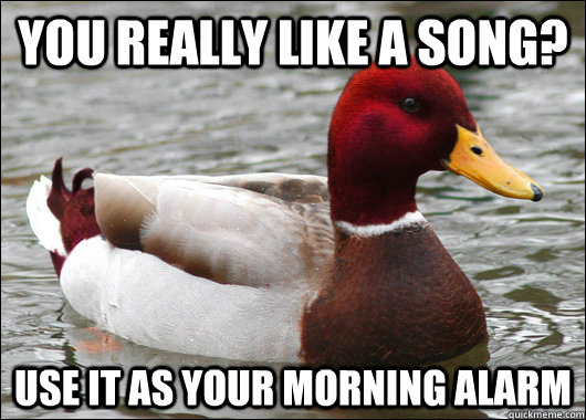 you really like a song use it as your morning alarm - Malicious Advice Mallard