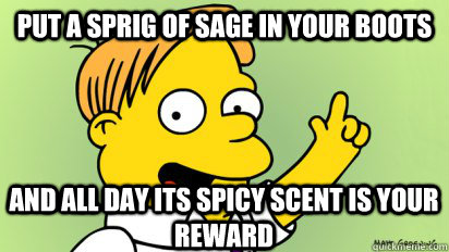 put a sprig of sage in your boots and all day its spicy sce -