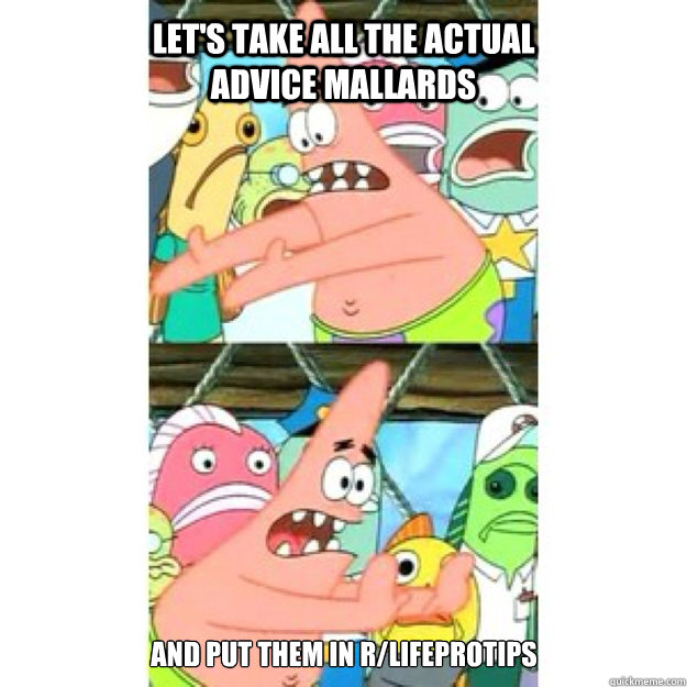 lets take all the actual advice mallards and put them in r - Push It Somewhere Else Patrick