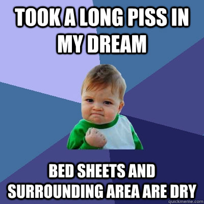 took a long piss in my dream bed sheets and surrounding area - Success Kid
