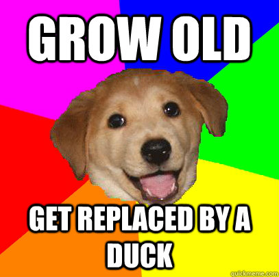 grow old get replaced by a duck - Advice Dog