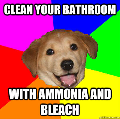 clean your bathroom with ammonia and bleach - Advice Dog