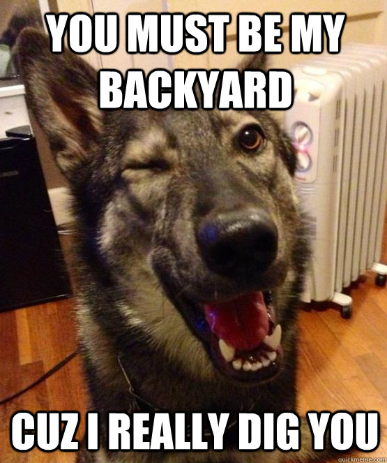 you must be my backyard cuz i really dig you - Pickup Pup