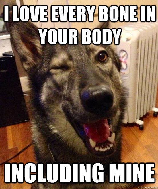 i love every bone in your body including mine - Pickup Pup