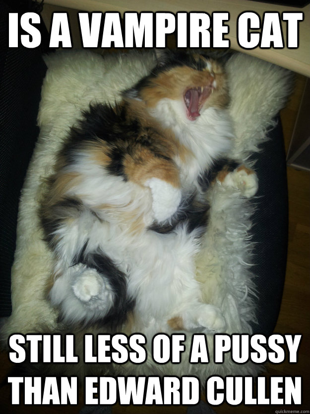 is a vampire cat still less of a pussy than edward cullen - Vampire Cat