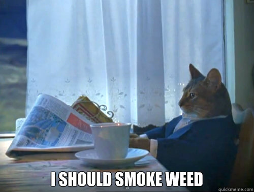 i should smoke weed - The One Percent Cat