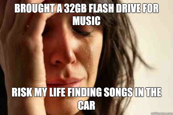 Brought a 32GB flash drive for music Risk my life finding so - First World Problems