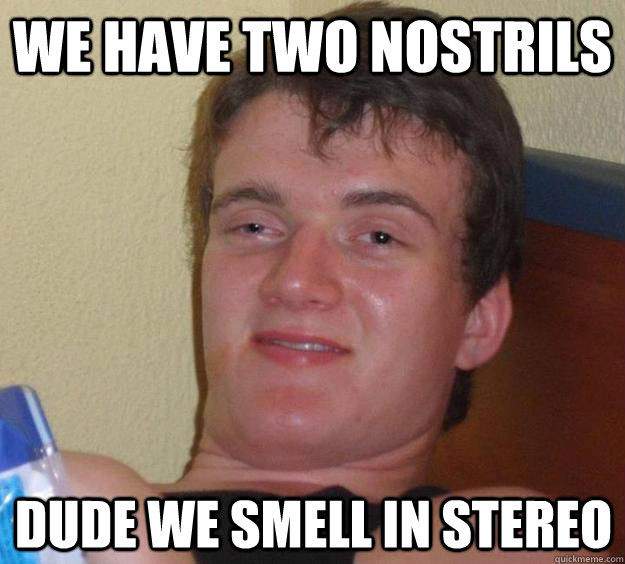 we have two nostrils dude we smell in stereo - 10 Guy