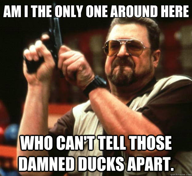 am i the only one around here who cant tell those damned du - Big Lebowski
