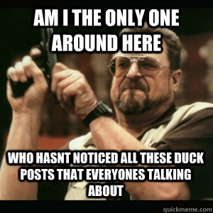 am i the only one around here who hasnt noticed all these du - AM I THE ONLY ONE AROUND HERE