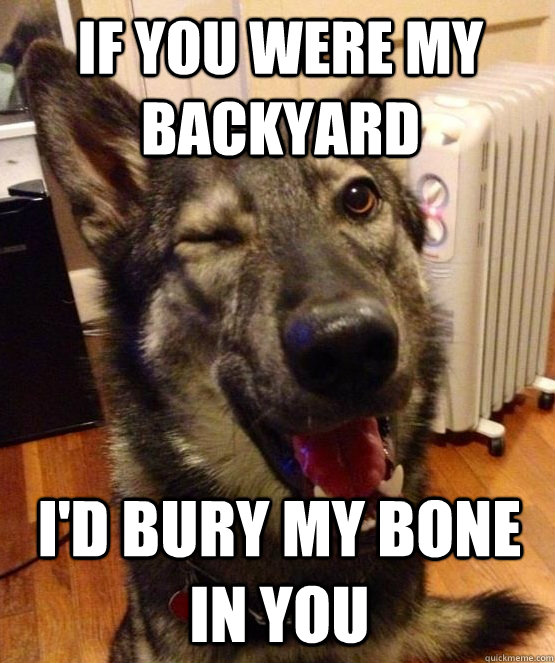 if you were my backyard id bury my bone in you - Pickup Pup
