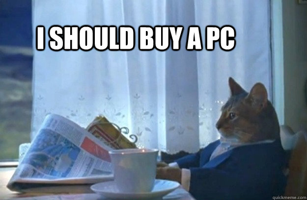 i should buy a pc - Sophisticated Cat