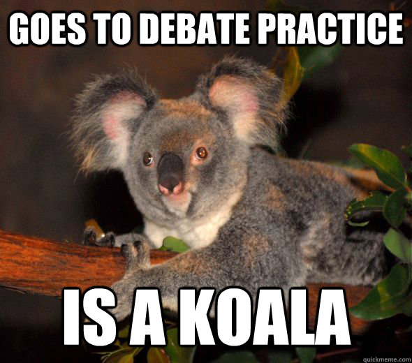 goes to debate practice is a koala -