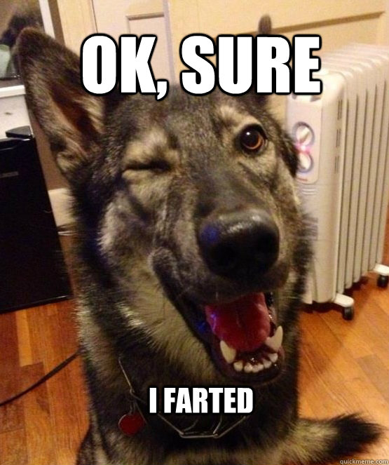 ok sure i farted - Pickup Pup