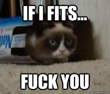 if i fits fuck you - Grumpy Cat Box