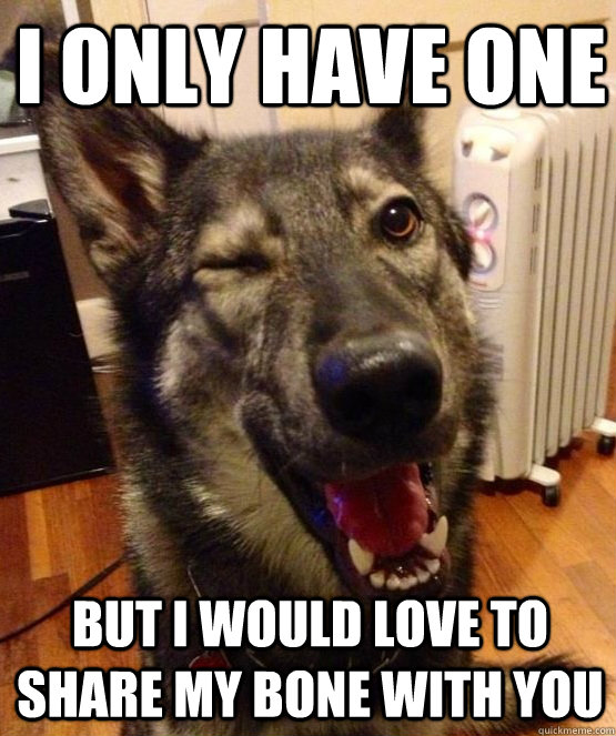 i only have one but i would love to share my bone with you - Pickup Pup