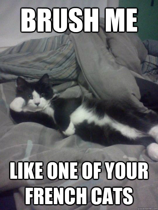 brush me like one of your french cats -